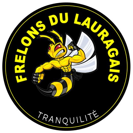 Frelons du Lauragais