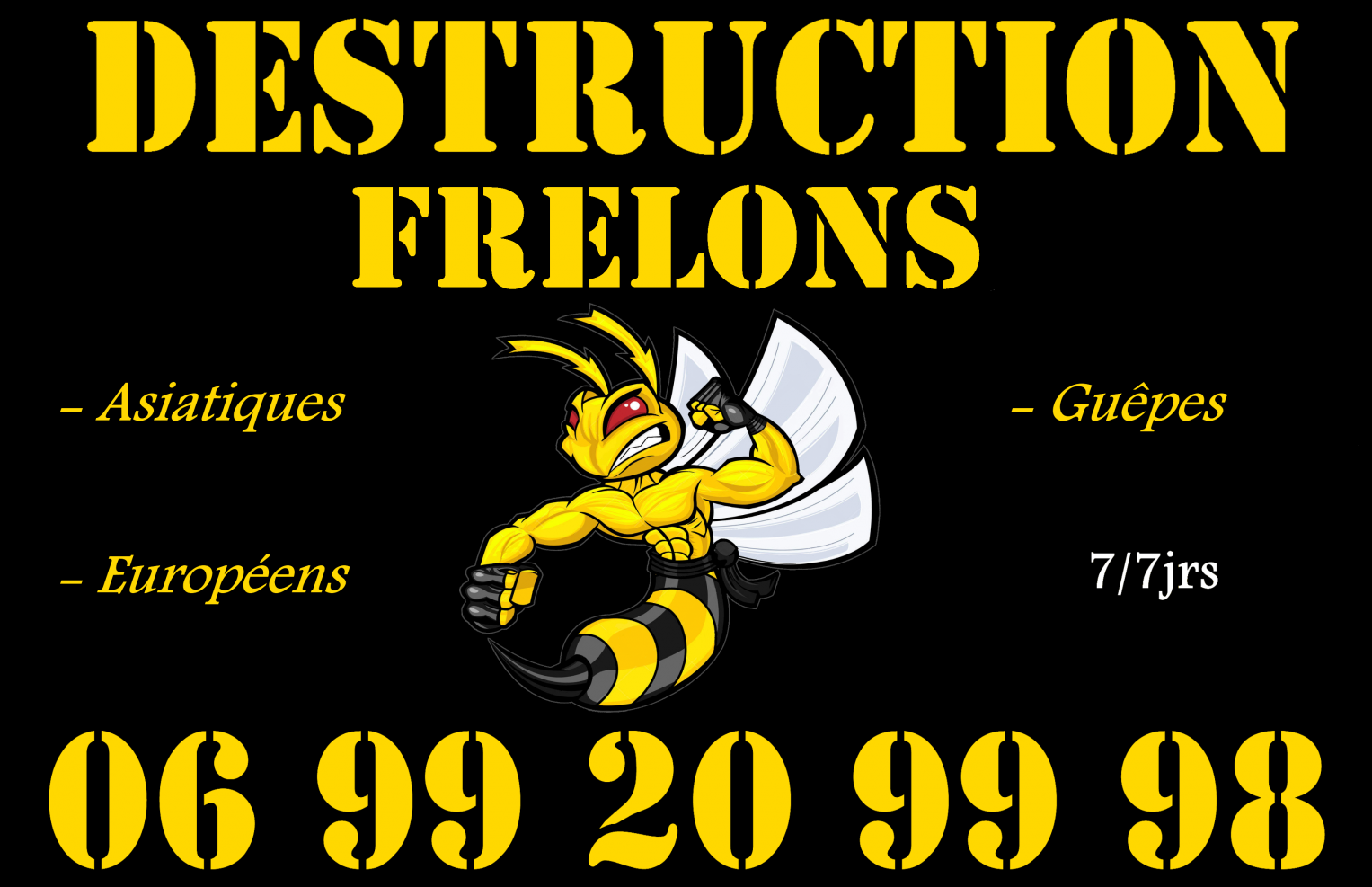 Coordonnées Frelons du Lauragais