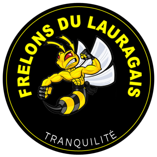 Frelons du Lauragais